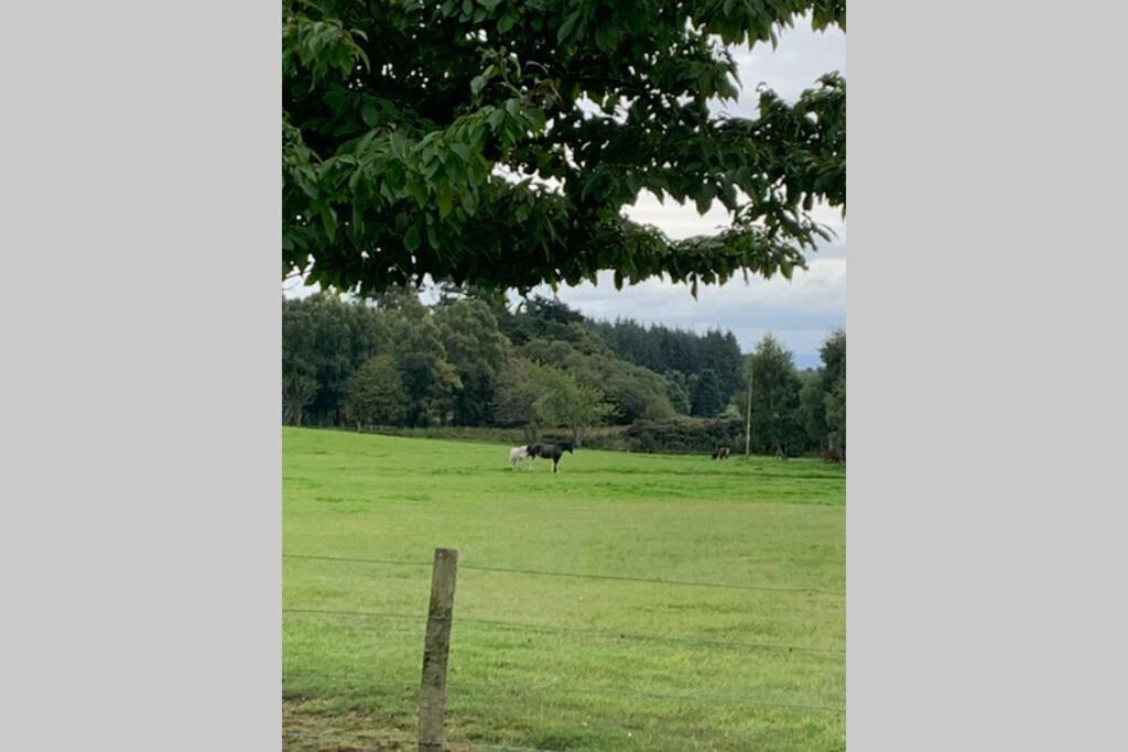 Highland Cosy 2 Bedroom Cottage In Tore Muir Of Ord On Nc500 ภายนอก รูปภาพ